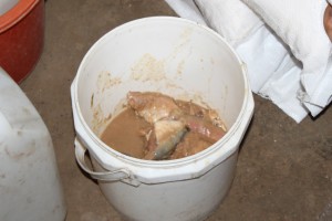 One month ration fish paste, Mae La, Nov 2012, Credit Mark Farmaner, Burma Campaign UK (1024x684)